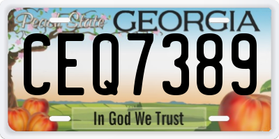 GA license plate CEQ7389