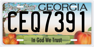 GA license plate CEQ7391