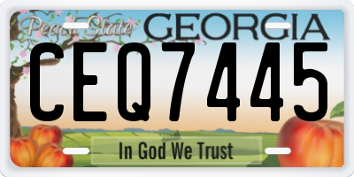 GA license plate CEQ7445
