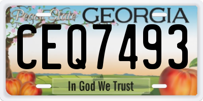 GA license plate CEQ7493
