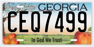 GA license plate CEQ7499