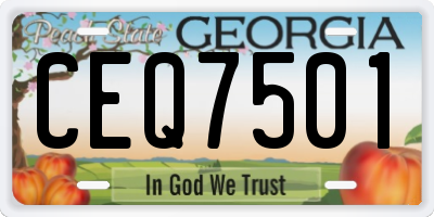 GA license plate CEQ7501