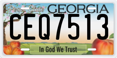 GA license plate CEQ7513