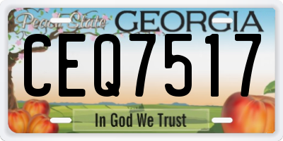 GA license plate CEQ7517