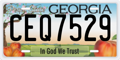 GA license plate CEQ7529