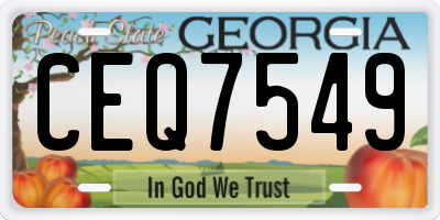GA license plate CEQ7549