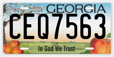 GA license plate CEQ7563