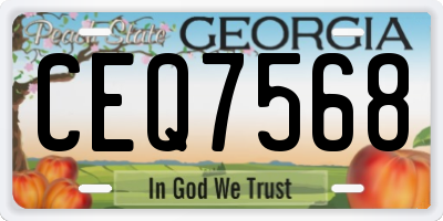 GA license plate CEQ7568