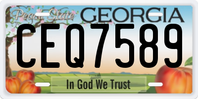 GA license plate CEQ7589
