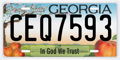 GA license plate CEQ7593