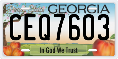 GA license plate CEQ7603