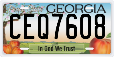 GA license plate CEQ7608