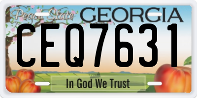 GA license plate CEQ7631