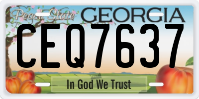GA license plate CEQ7637