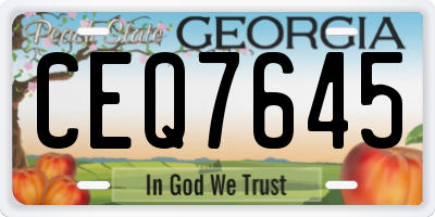 GA license plate CEQ7645