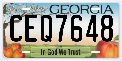 GA license plate CEQ7648