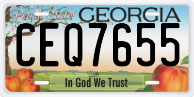 GA license plate CEQ7655