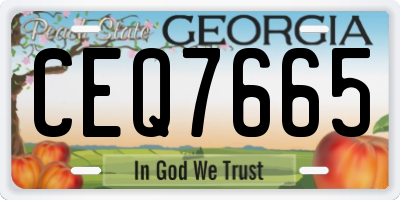 GA license plate CEQ7665