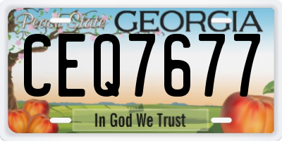 GA license plate CEQ7677