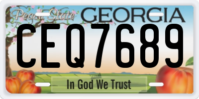 GA license plate CEQ7689