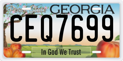 GA license plate CEQ7699