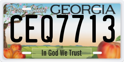 GA license plate CEQ7713