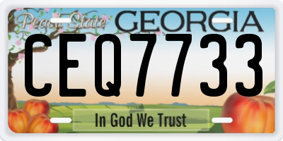 GA license plate CEQ7733