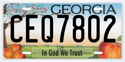 GA license plate CEQ7802