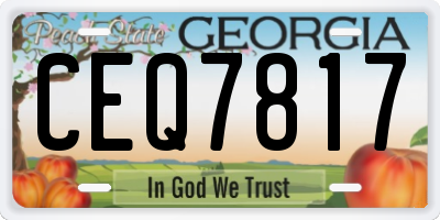 GA license plate CEQ7817