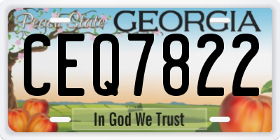 GA license plate CEQ7822
