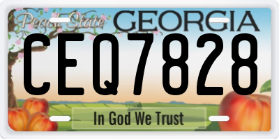 GA license plate CEQ7828