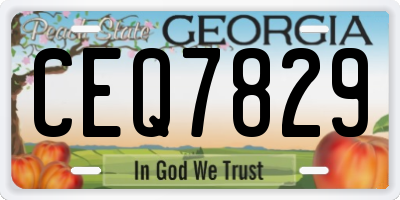 GA license plate CEQ7829