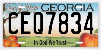 GA license plate CEQ7834