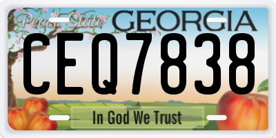 GA license plate CEQ7838