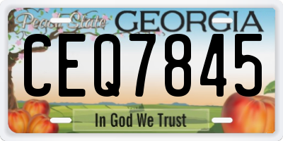 GA license plate CEQ7845