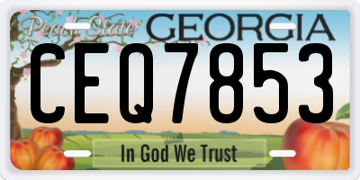 GA license plate CEQ7853