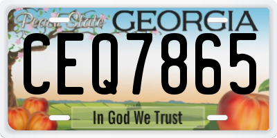 GA license plate CEQ7865