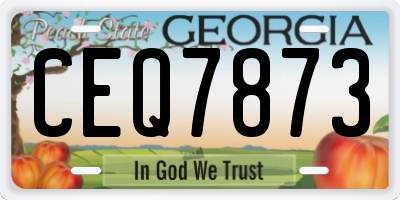 GA license plate CEQ7873