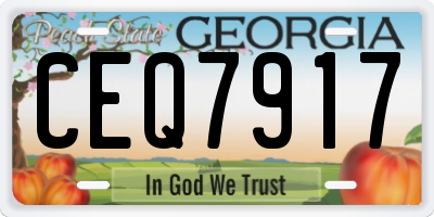 GA license plate CEQ7917