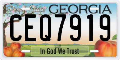 GA license plate CEQ7919