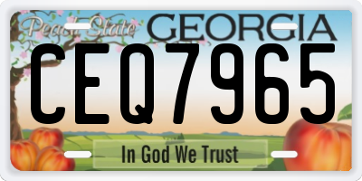 GA license plate CEQ7965