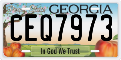 GA license plate CEQ7973