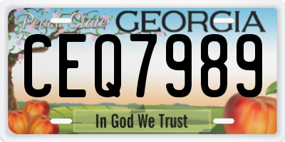 GA license plate CEQ7989