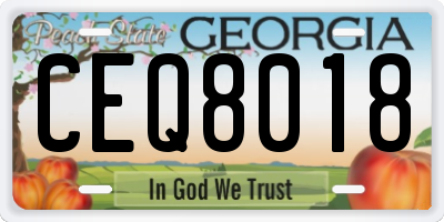 GA license plate CEQ8018