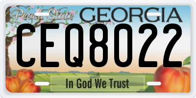 GA license plate CEQ8022