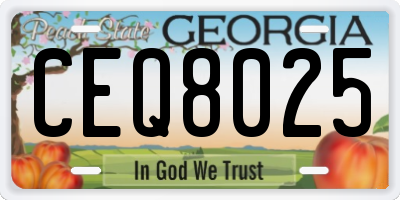GA license plate CEQ8025