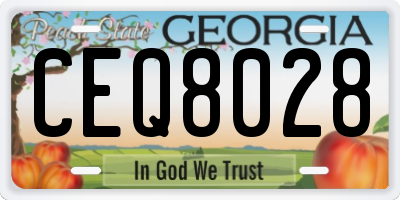 GA license plate CEQ8028