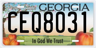 GA license plate CEQ8031