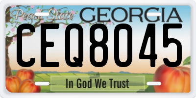GA license plate CEQ8045