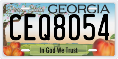 GA license plate CEQ8054